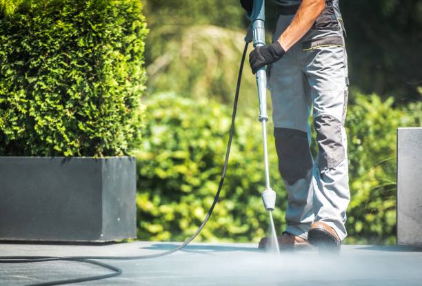 Best Concrete Sealing  in Pierz, MN