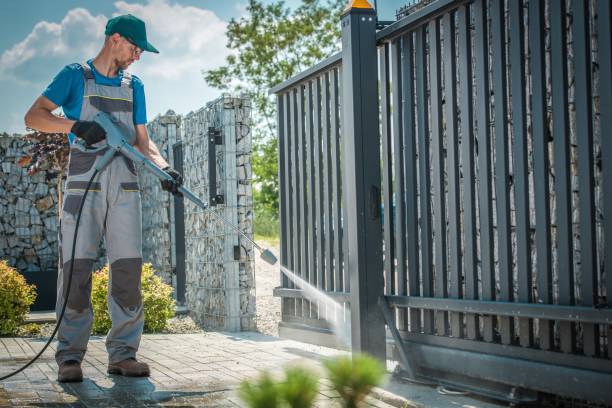 Best Driveway Pressure Washing  in Pierz, MN