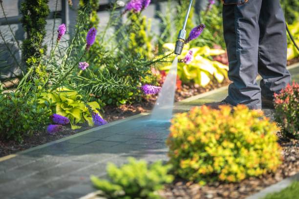 Best Gutter Cleaning  in Pierz, MN
