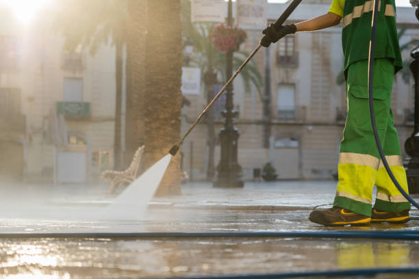 Best Dumpster Area Cleaning  in Pierz, MN